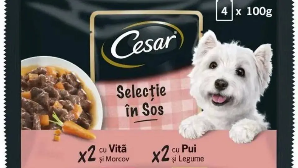 7/7311