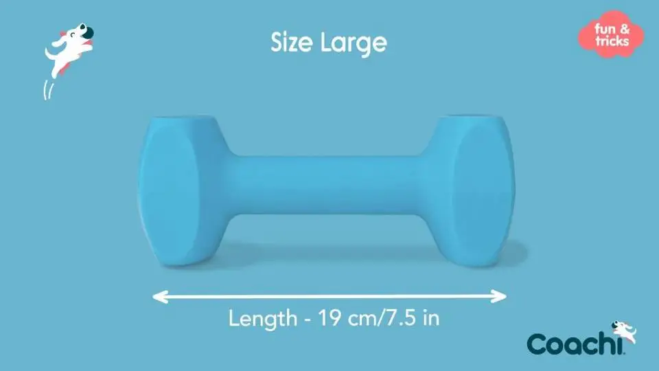 8/8059