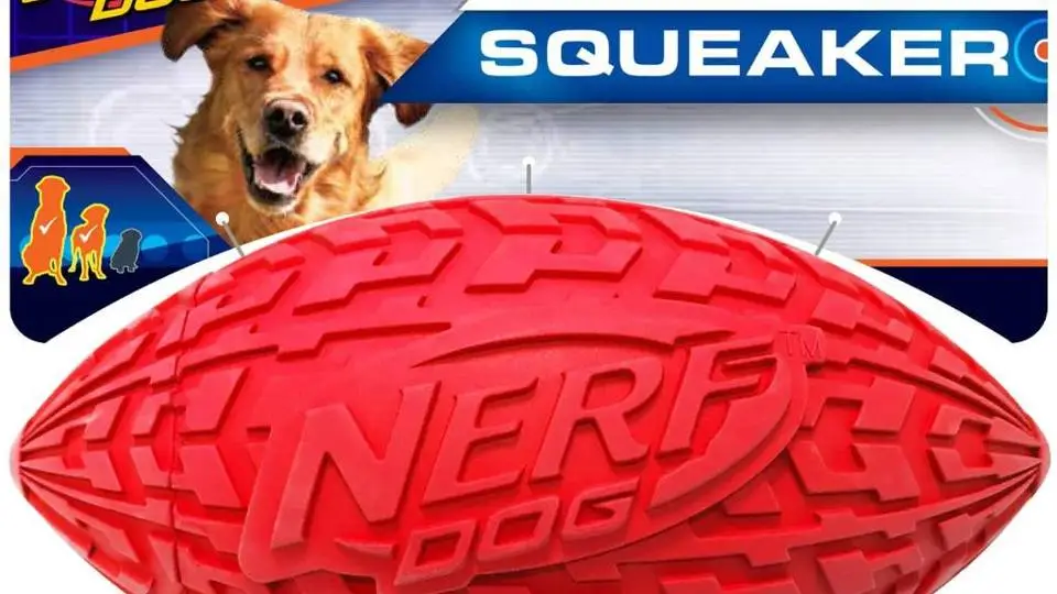 8/8102