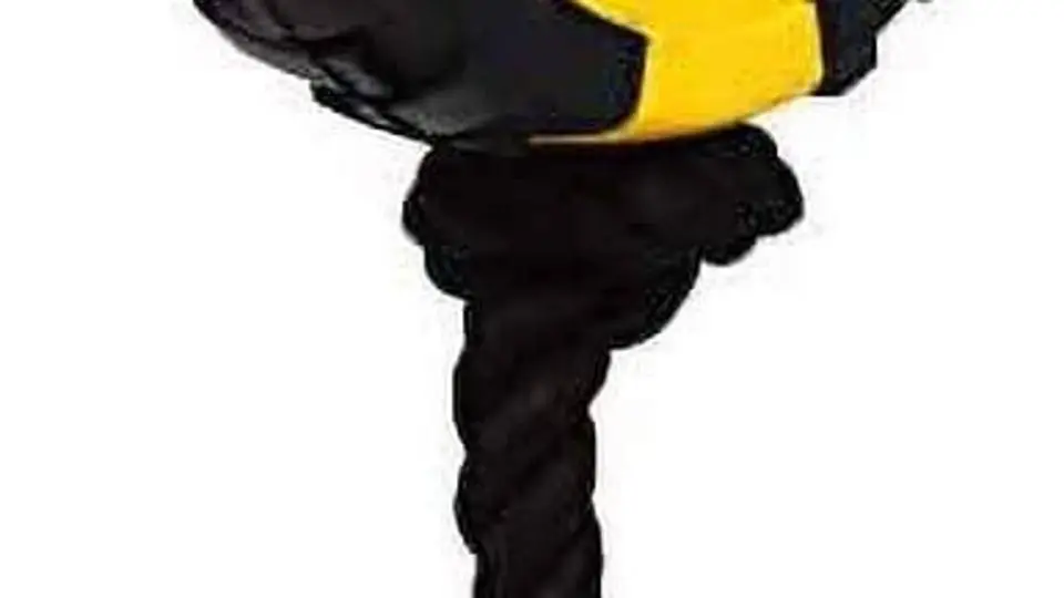 8/8134