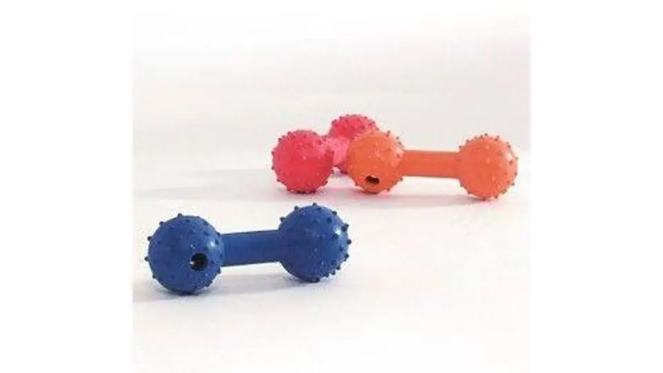 8/8202