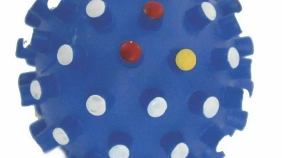 8/8234
