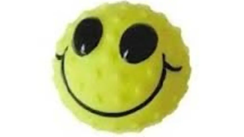 8/8251