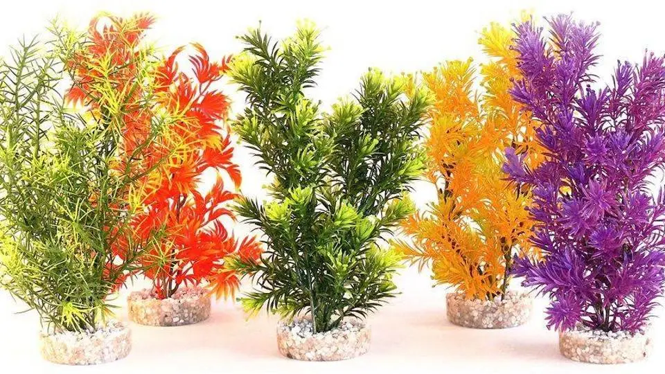 9/9843